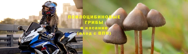 PSILOCYBIN Краснослободск
