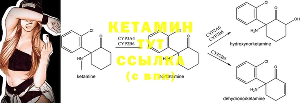 PSILOCYBIN Краснослободск
