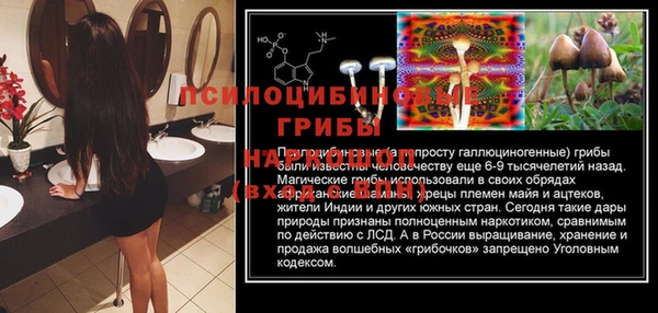 PSILOCYBIN Краснослободск