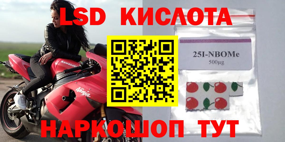 Псилоцибиновые грибы Владивосток