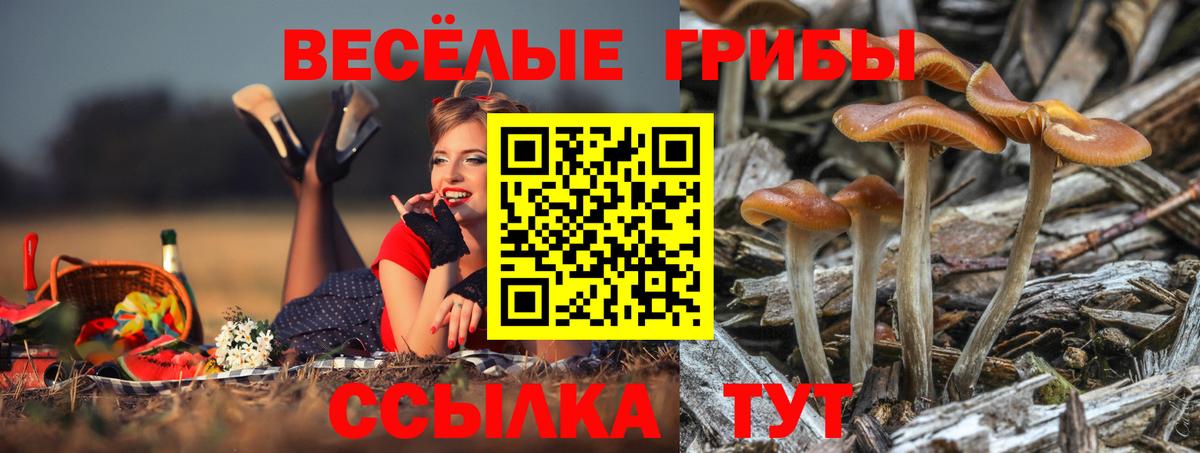 Псилоцибиновые грибы ЛСД  Псилоцибиновые грибы Magic Shrooms  Владивосток  Вход с VPN 
