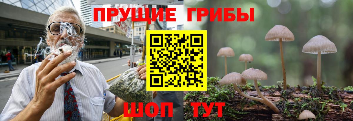 Галлюциногенные грибы мицелий Владивосток